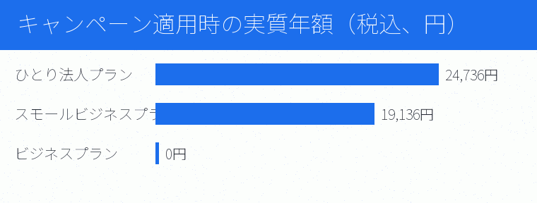 キャンペーン適用時の実質年額(税込、円)の内訳を示す図