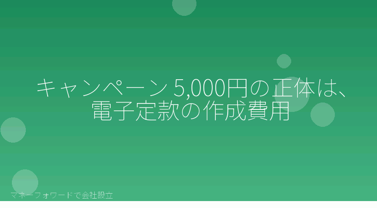 マネーフォワードで会社設立を自分で進める「キャンペーン 5,000円の正体は、電子定款の作成費用」の解説イラスト
