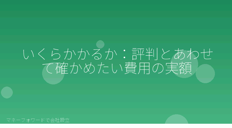 マネーフォワードで会社設立を自分で進める「いくらかかるか:評判とあわせて確かめたい費用の実額」の解説イラスト